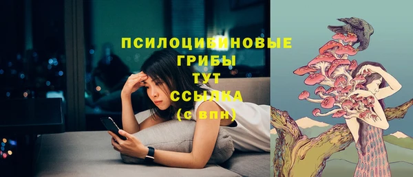 гашиш Новодвинск