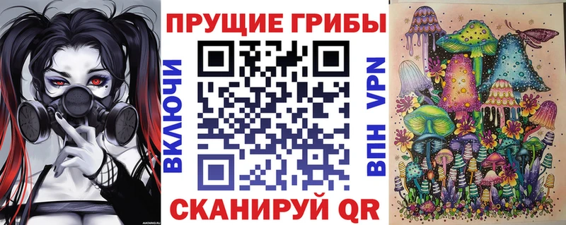 Галлюциногенные грибы Psilocybine cubensis  mega зеркало  Торжок 