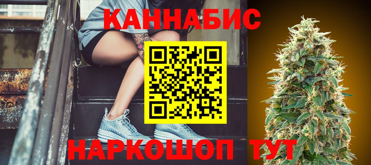 Бошки Шишки план Торжок